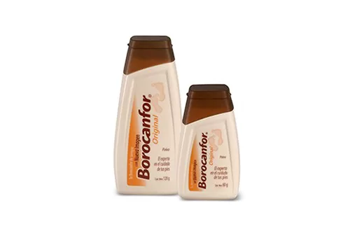 5-Borocanfor-Renovacion-2010