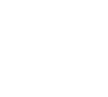 1- Cuero cabelludo normal